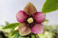 _thumb11_small.jpg