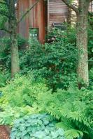 Sunshine Farm and Gardens: A Tour of Our Gardens